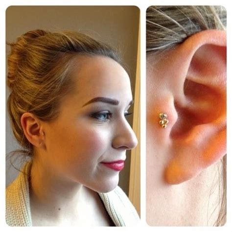 A wide variety of fake tragus stud options are available to you, such as shape\pattern, jewelry main material, and inlay technology. Yellow gold stud in tragus piercing | piercings | Pinterest | Studs, Gold studs and Yellow