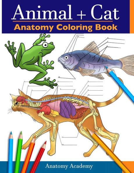 Animal And Cat Anatomy Coloring Book 2 In 1 Compilation Incredibly