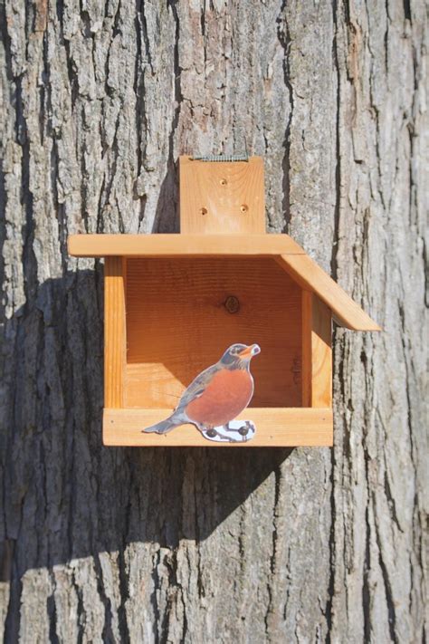 American Robin Cedar Bird House Etsy Bird House Bird Bird Houses