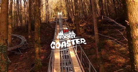 This New Rollercoaster Has Opened In The Middle Of A Welsh Forest