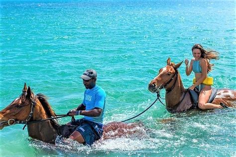 tripadvisor chukka‘s reiten und schwimmen aktivabenteuer zur verfügung gestellt von chukka