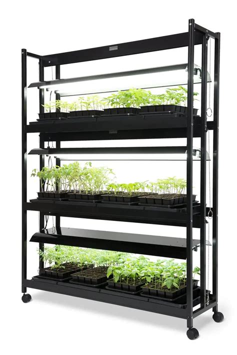 Indoor Microgreen Growingseedling Hydroponic System With Lights Trays