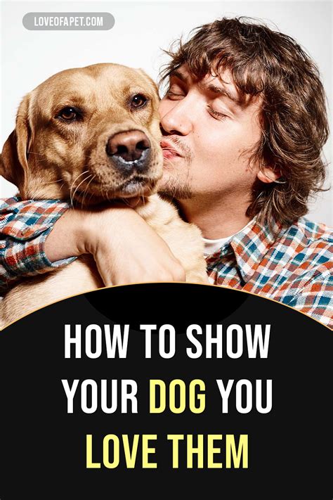 How To Show Your Dog You Love Them 10 Ways Love Of A Pet In 2021