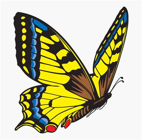 Butterfly Clipart Free Images Flying Butterfly Clip Art Hd Png