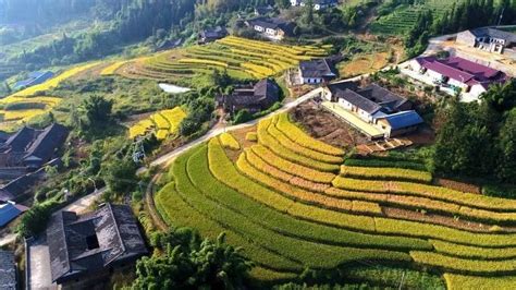 Finding The Beautiful Countryside In South Chinas Guangdong Cgtn