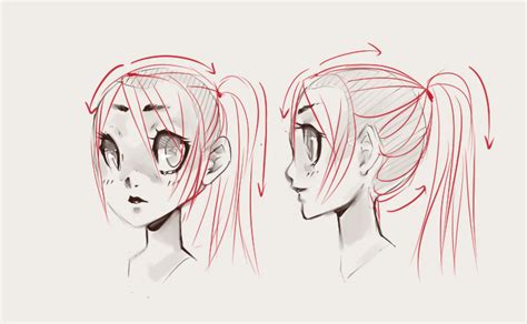 Anime Hair Ponytail Drawing Front View Disonancia Sentv3