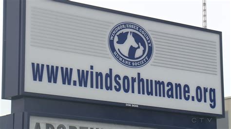 Humane society to continue animal cruelty investigations as Ontario creates new animal welfare ...