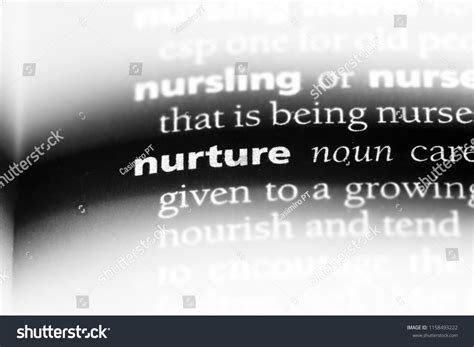 Nurture Word Dictionary Nurture Concept Stock Photo 1158493222