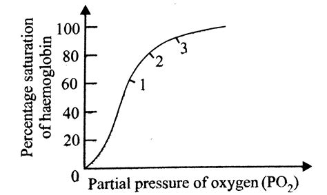 The Given Graph Shows An Oxygen Dissociation Curve For Haemoglobin