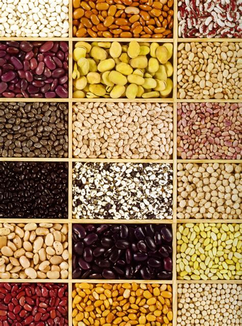 A Quick Guide To Mexican Beans