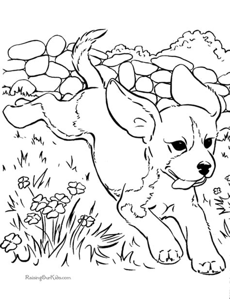 Realistic Puppy Coloring Pages Download And Print For Free