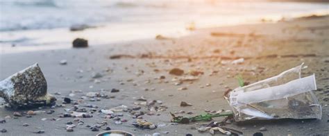 Microplastics In The Great Lakes A Danger To Marine Life And Public
