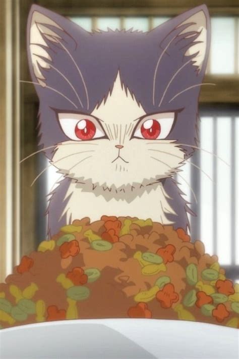 Anime Doukyonin Wa Hiza Tokidoki Atama No Ue My Roommate Is A Cat