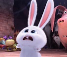 Snowball | The Secret Life of Pets Wiki | FANDOM powered by Wikia