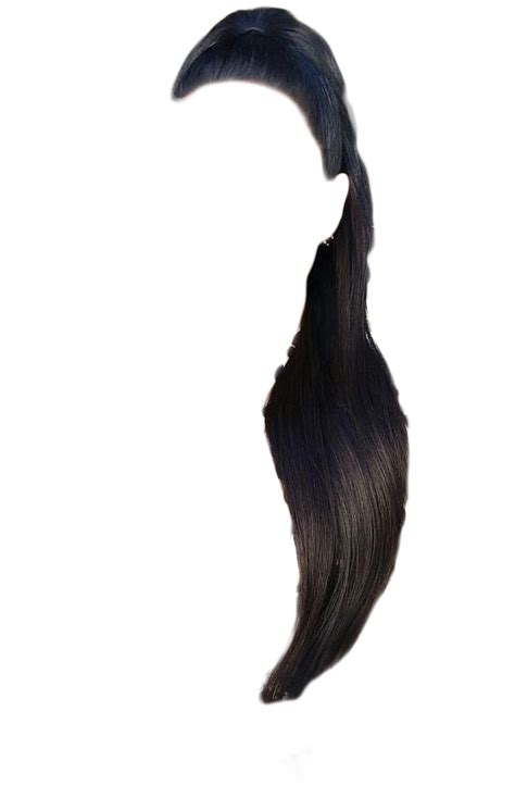 High Pony Tail Hair Styles Hair Stylist Hair Color