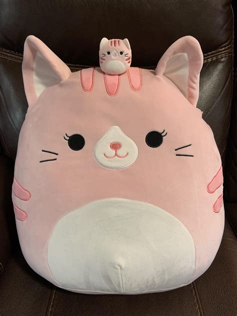 Laura My Favorite Kitty Rsquishmallow