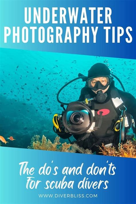 Master The Art Of Underwater Photography 85 Tips For Beginners In 2023
