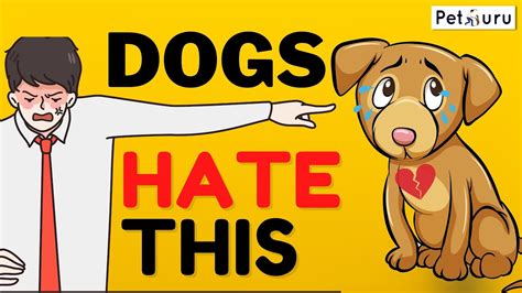 10 Things Dogs Hate About Humans And How To Fix Them Youtube