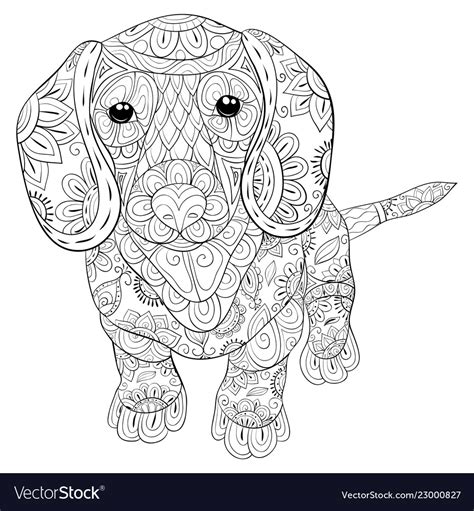Adult Coloring Bookpage A Cute Dog Image Vector Image