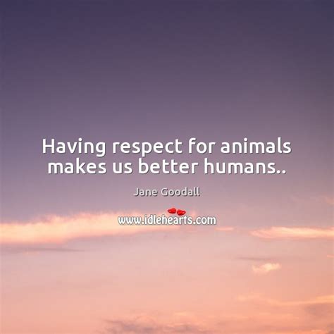 Having Respect For Animals Makes Us Better Humans Idlehearts