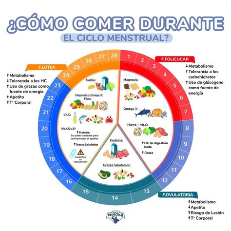 Pin De Laura García En Ciclo Menstrual Ciclo Menstrual Ciclo