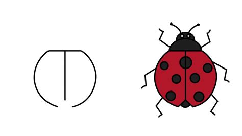 How To Draw A Ladybug Really Easy Drawing Tutorial Drawing Tutorial