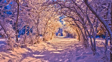 Hd Nature Landscapes Winter Snow Christmas Sidewalk Roads Lights White