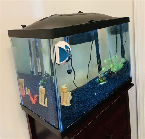 How To Change Water In 10 Gallon Fish Tank