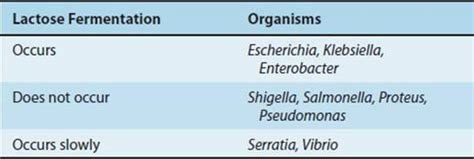 Gram Negative Rods Related To The Enteric Tract Review Of Medical