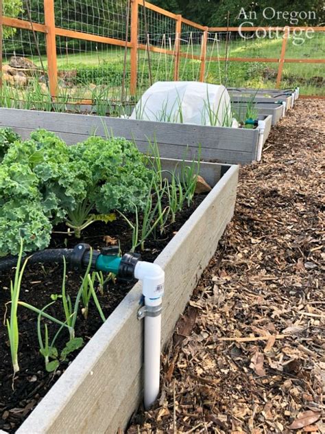 Diy Garden Watering System Easy And Inexpensive Printable Supplies
