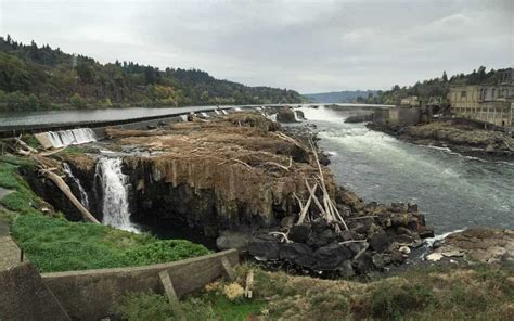 Willamette Falls Guided Tour Large 1 Author Paul Gerald