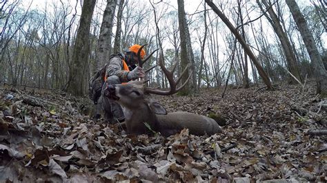 Muzzleloader 2015 Deer Hunting Tn Big Buck Youtube