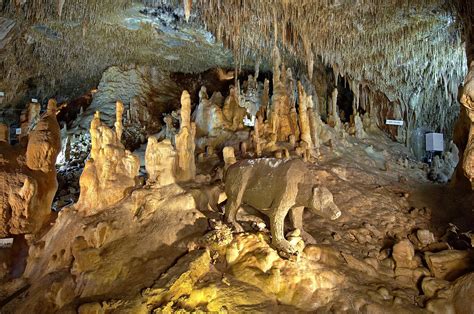 Petralona Cave Halkidiki Greece Halkidiki Halkidiki Greece Greece