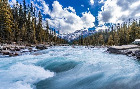 Wallpaper Forest Trees Mountains River Stream Canada Canada