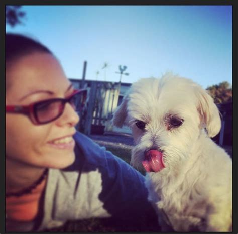 Sasha And Her Big Tongue Paws N Claws Coffs Harbour