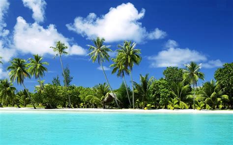 Tropical Beach Widescreen High Resolution For