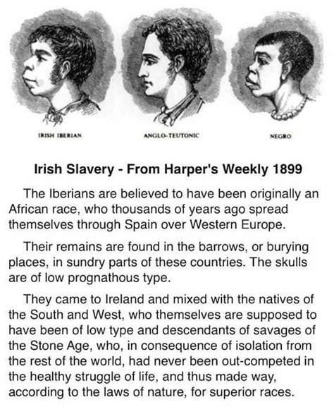 Pin By Sandy On Irish History Irish Slaves Irish Slaves History