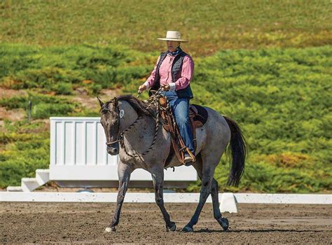 Introduction To Working Equitation Working Equitation Is A Hot New