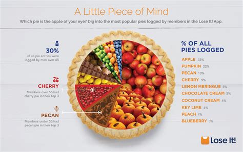 Which Is The Most Popular Pie Infographic