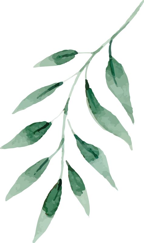 Choose from 100000+ leaf graphic resources and download in the form of png, eps, ai or psd. leaves drawing png - Watercolor Painting Leaf - Water ...