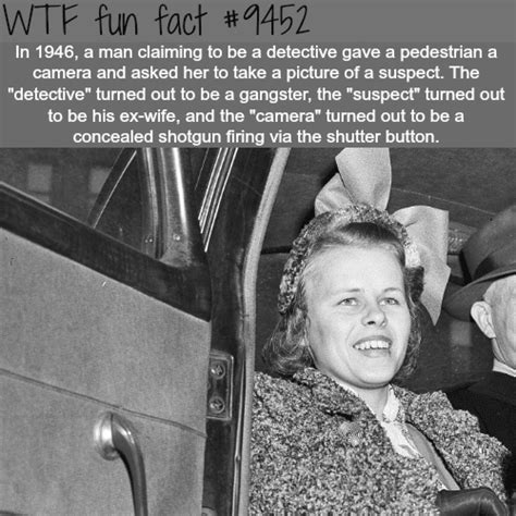 Fact Of The Day Wtf Fun Fact