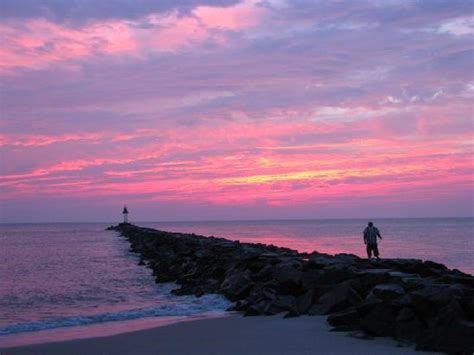 Cape May Point State Park Nj Updated 2018 Top Tips Before You Go