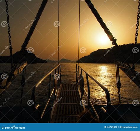 Dive into paradise stock photo. Image of dive, relax - 44779076