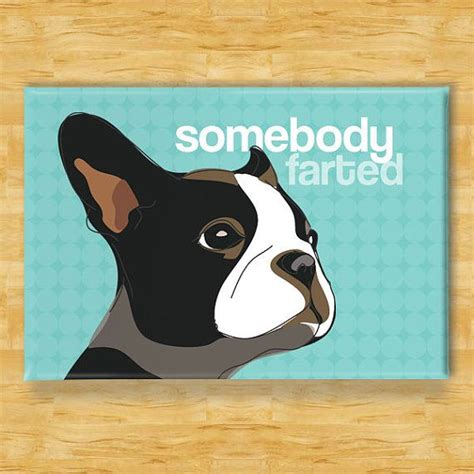 Boston Terrier Magnet Somebody Farted Boston Terrier Ts Etsy