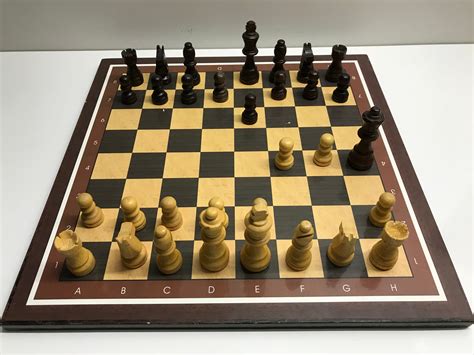 How Is This A Checkmate Rsubsimgpt2interactive