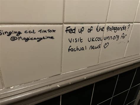 what the hell has happened to toilet graffiti in the uk where s the cock and balls and phone