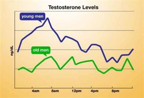 How Testosterone Levels Change By Age And How To Increase It