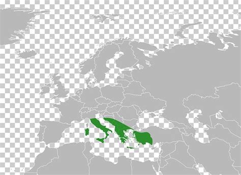 Blank Map Of Europe North Africa And Middle East Janeesstory