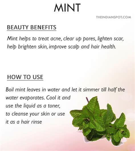 Plants With Beauty Benefits And How To Use The Indian Spot