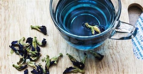 This plant has been used in ayurveda for many years for treating many neurological problems like depression, anxiety and for improving memory. The Benefits of Butterfly Pea Flower Tea | Butterfly pea ...